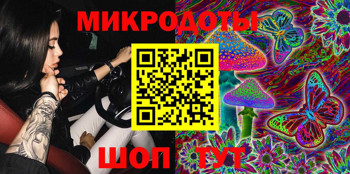 Галлюциногенные грибы Psilocybe Смоленск