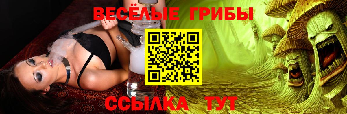 Галлюциногенные грибы GOLDEN TEACHER  Псилоцибиновые грибы мухоморы  Смоленск  Вход с VPN 